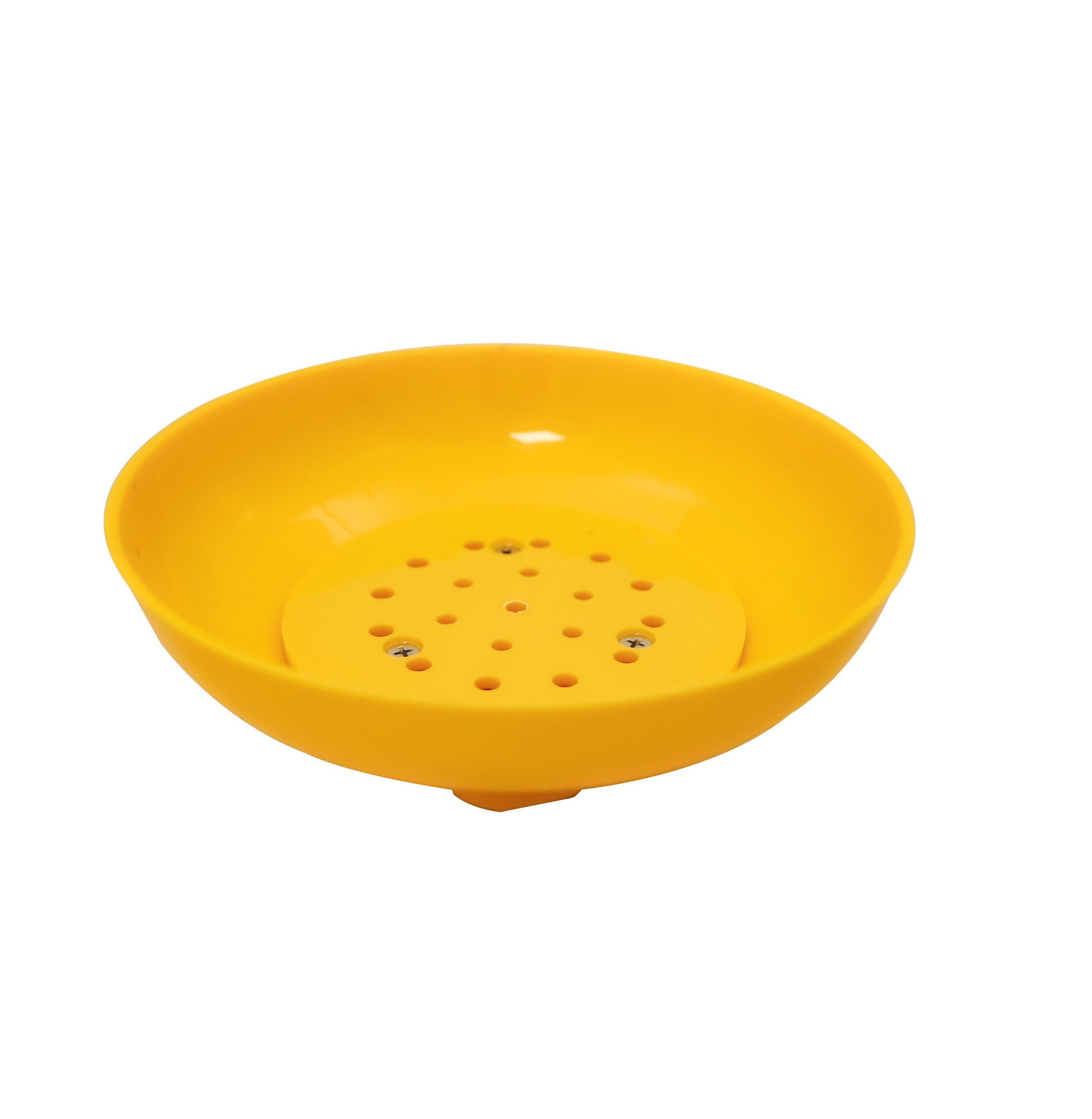 Shower Head